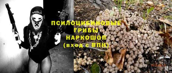 хмурый Горнозаводск