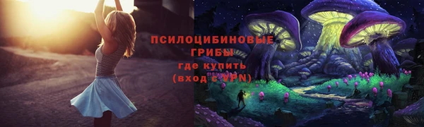 хмурый Горнозаводск