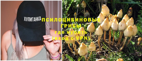 хмурый Горнозаводск