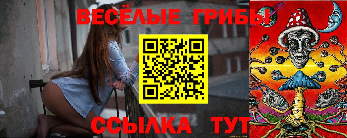 Галлюциногенные грибы мухоморы  Галлюциногенные грибы Magic Shrooms  Богданович 