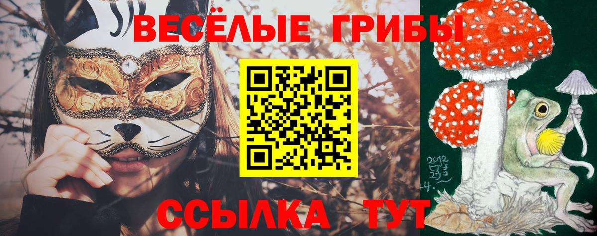 Псилоцибиновые грибы Magic Shrooms Богданович