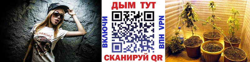 Канабис White Widow  ссылка на мегу ССЫЛКА  Богданович 