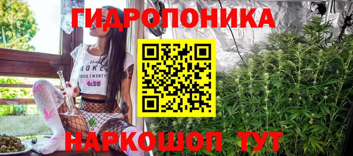 Конопля Bruce Banner  Каннабис план  Вход с VPN  Богданович  Канабис индика 